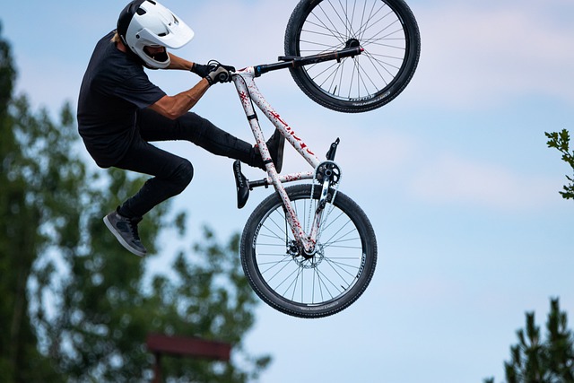 Cycliste inattentif, expertise inutile