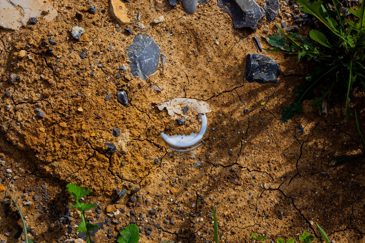 ICPE : cessation d'activité et pollution des sols